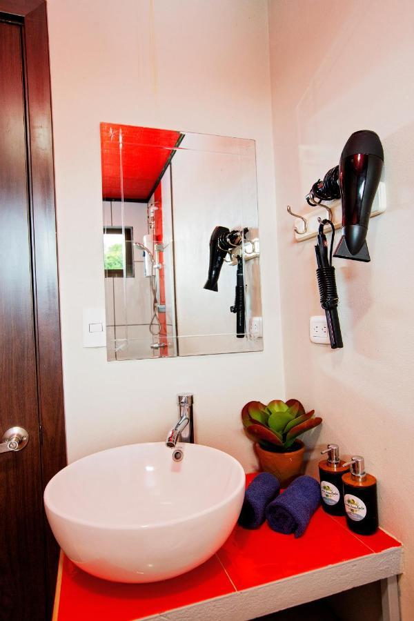 Casa Suculenta ,Monteverde Con Jacuzzi Privado Y Lavanderia ภายนอก รูปภาพ